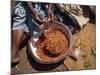 Woman Sorting Chili Peppers in a Metal Bowl, Ghana, West Africa, Africa-Taylor Liba-Mounted Photographic Print