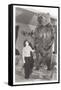 Woman Standing by Large Stufffed Bear-null-Framed Stretched Canvas