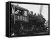 Woman Standing in Driver's Cabin in Locomotive-null-Framed Stretched Canvas