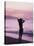 Woman Standing on Beach in Silhouette-Bill Romerhaus-Stretched Canvas