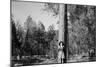 Woman Stands With Her Arms Wrapped Around A Ponderosa Pine Tree Looking Up And Smiling-Hannah Dewey-Mounted Photographic Print