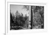 Woman Stands With Her Arms Wrapped Around A Ponderosa Pine Tree Looking Up And Smiling-Hannah Dewey-Framed Photographic Print