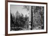 Woman Stands With Her Arms Wrapped Around A Ponderosa Pine Tree Looking Up And Smiling-Hannah Dewey-Framed Photographic Print