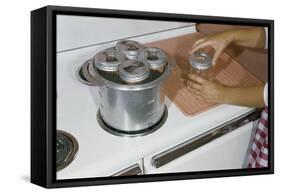 Woman Sterilizing Jars for Canning-William P. Gottlieb-Framed Stretched Canvas