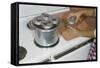 Woman Sterilizing Jars for Canning-William P. Gottlieb-Framed Stretched Canvas