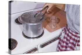 Woman Sterilizing Jars for Canning-William P. Gottlieb-Stretched Canvas