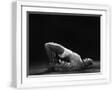 White Frame