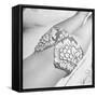 Woman Sun Bathing with Her Bikini Bottom Half Way Unzipped-Ralph Morse-Framed Stretched Canvas