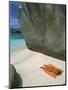 Woman Sunbathing on Beach Beween Rocks, Coco Island, Praslin, Seychelles, Indian Ocean, Africa-Bruno Barbier-Mounted Photographic Print