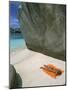 Woman Sunbathing on Beach Beween Rocks, Coco Island, Praslin, Seychelles, Indian Ocean, Africa-Bruno Barbier-Mounted Photographic Print
