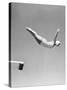 Woman Swan Dive Off Diving Board, 1950-null-Stretched Canvas