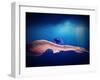 Woman Swimmer-Federico Caputo-Framed Photographic Print