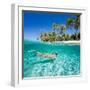 Woman Swimming in a Clear Tropical Waters in Front of Exotic Island-BlueOrange Studio-Framed Photographic Print