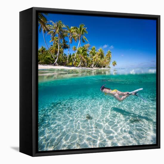 Woman Swimming Underwater in Clear Tropical Waters in Front of Exotic Island-BlueOrange Studio-Framed Stretched Canvas