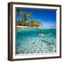 Woman Swimming Underwater in Clear Tropical Waters in Front of Exotic Island-BlueOrange Studio-Framed Photographic Print