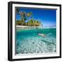 Woman Swimming Underwater in Clear Tropical Waters in Front of Exotic Island-BlueOrange Studio-Framed Photographic Print