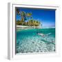 Woman Swimming Underwater in Clear Tropical Waters in Front of Exotic Island-BlueOrange Studio-Framed Photographic Print