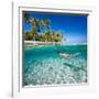 Woman Swimming Underwater in Clear Tropical Waters in Front of Exotic Island-BlueOrange Studio-Framed Photographic Print