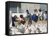 Woman Taking Photograph of Family Squatting on a Wall, Mazar-I-Sharif, Afghanistan-Jane Sweeney-Framed Stretched Canvas