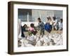 Woman Taking Photograph of Family Squatting on a Wall, Mazar-I-Sharif, Afghanistan-Jane Sweeney-Framed Photographic Print