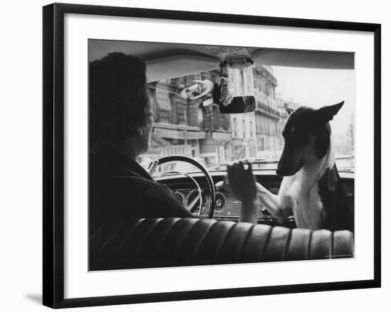 Woman Taxi Driver Sharing Front Seat with Pet Dog-Alfred Eisenstaedt-Framed Photographic Print