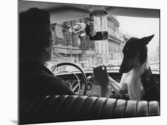 Woman Taxi Driver Sharing Front Seat with Pet Dog-Alfred Eisenstaedt-Mounted Photographic Print