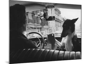 Woman Taxi Driver Sharing Front Seat with Pet Dog-Alfred Eisenstaedt-Mounted Photographic Print