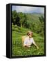 Woman Tea Picking, Goomtee Tea Estate, Kurseong, West Bengal, India-Jane Sweeney-Framed Stretched Canvas