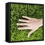 Woman Touching Grass-Roy McMahon-Framed Stretched Canvas