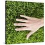 Woman Touching Grass-Roy McMahon-Stretched Canvas