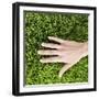 Woman Touching Grass-Roy McMahon-Framed Photographic Print