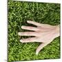 Woman Touching Grass-Roy McMahon-Mounted Photographic Print