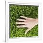 Woman Touching Grass-Roy McMahon-Framed Photographic Print