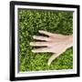 Woman Touching Grass-Roy McMahon-Framed Photographic Print