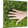Woman Touching Grass-Roy McMahon-Mounted Photographic Print