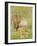 Woman Under the Willows-Claude Monet-Framed Art Print