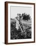 Brown Frame
