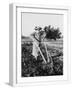 White Frame