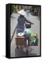 Woman Vendor Pushing Bicycle Along Street, Hoi An, Quang Nam, Vietnam, Indochina-Ian Trower-Framed Stretched Canvas