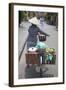 Woman Vendor Pushing Bicycle Along Street, Hoi An, Quang Nam, Vietnam, Indochina-Ian Trower-Framed Photographic Print