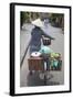 Woman Vendor Pushing Bicycle Along Street, Hoi An, Quang Nam, Vietnam, Indochina-Ian Trower-Framed Photographic Print