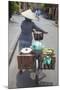 Woman Vendor Pushing Bicycle Along Street, Hoi An, Quang Nam, Vietnam, Indochina-Ian Trower-Mounted Photographic Print