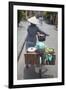 Woman Vendor Pushing Bicycle Along Street, Hoi An, Quang Nam, Vietnam, Indochina-Ian Trower-Framed Photographic Print