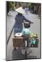 Woman Vendor Pushing Bicycle Along Street, Hoi An, Quang Nam, Vietnam, Indochina-Ian Trower-Mounted Photographic Print