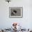 Woman Wades Through Flood Waters to Collect Drinking Water at Kakadhowa Village in India-null-Framed Photographic Print displayed on a wall