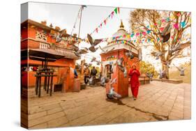 Woman walking and praying with pigeons at the hilltop temple, Bhaktapur, Kathmandu Valley, Nepal, A-Laura Grier-Stretched Canvas