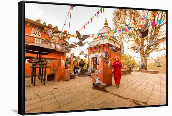 Woman walking and praying with pigeons at the hilltop temple, Bhaktapur, Kathmandu Valley, Nepal, A-Laura Grier-Framed Stretched Canvas