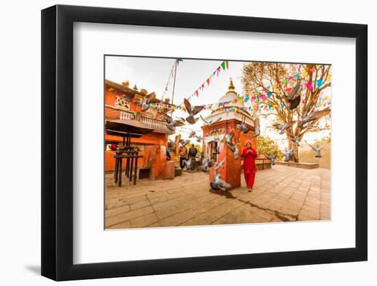 Woman walking and praying with pigeons at the hilltop temple, Bhaktapur, Kathmandu Valley, Nepal, A-Laura Grier-Framed Photographic Print