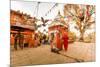 Woman walking and praying with pigeons at the hilltop temple, Bhaktapur, Kathmandu Valley, Nepal, A-Laura Grier-Mounted Photographic Print