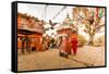 Woman walking and praying with pigeons at the hilltop temple, Bhaktapur, Kathmandu Valley, Nepal, A-Laura Grier-Framed Stretched Canvas